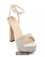 Silver Shimmer